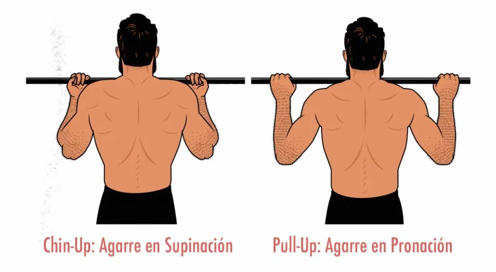 Ejercicios para bíceps y ganar masa muscular sin material Chin-Ups en Puerta (si es seguro)