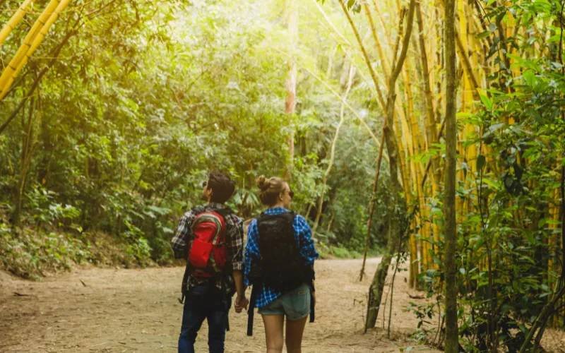 Beneficios de las zapatillas Salomon impermeables para senderismo