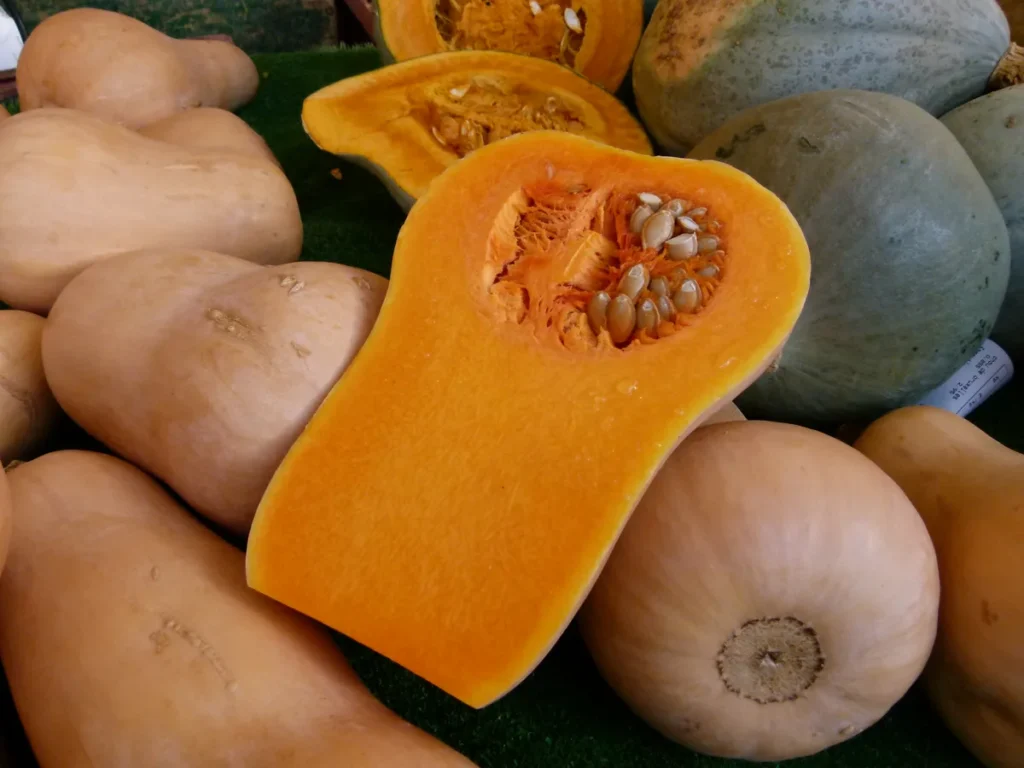 Calabaza cacahuete cortada para la crema de calabaza con alubias blancas
